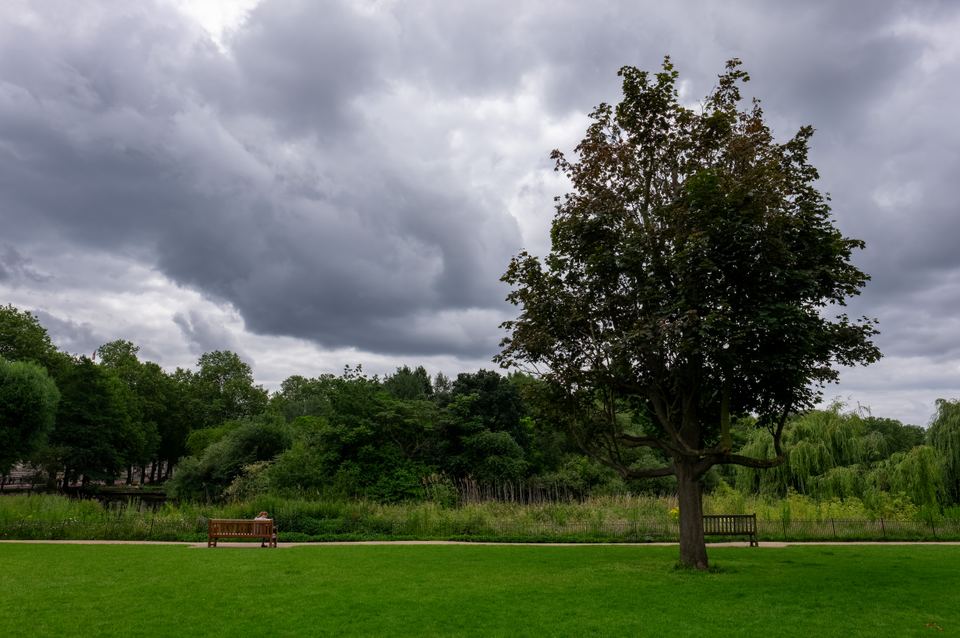 A park bench on a lush green lawn beside a tall tree under grey clouds.