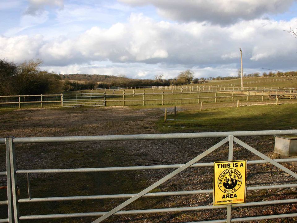 Metal gate leading to fenced green paddocks under a overcast blue sky