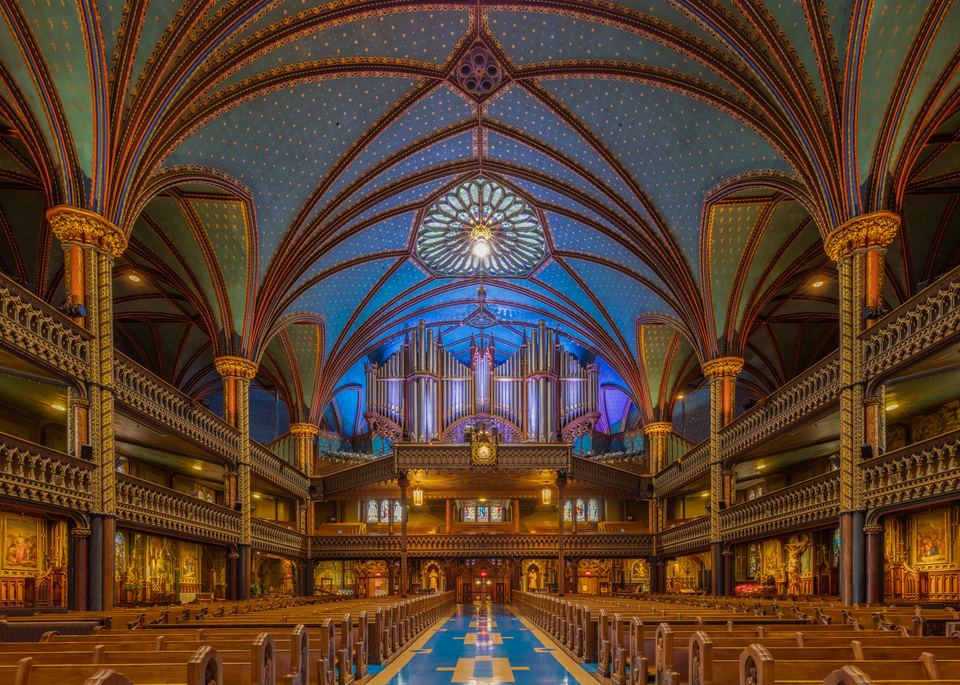 Ornate blue vaulted ceiling and grand pipe organ above wooden pews in a cathedral interior.