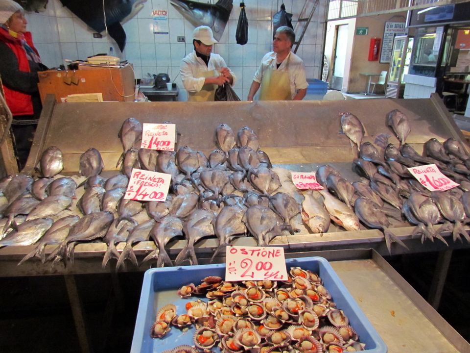 Fresh fish and scallops arranged on metal counters at a Chilean fish market