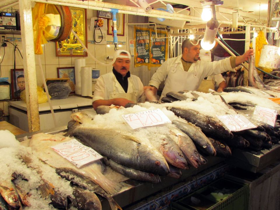 Fishmongers displaying fresh fish on ice at a market counter in Chile