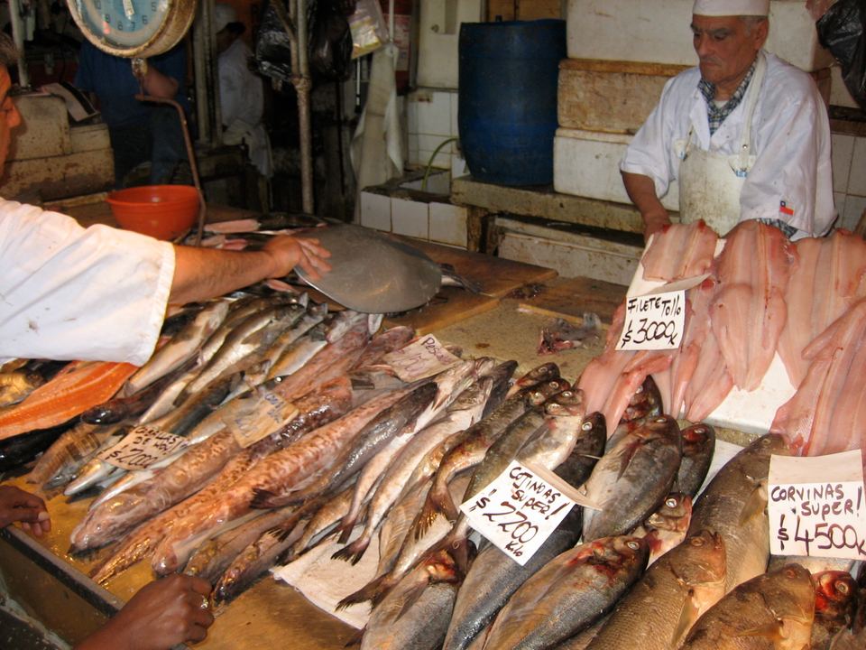 Fresh fish on display with handwritten price signs at a seafood market stall in Chile.