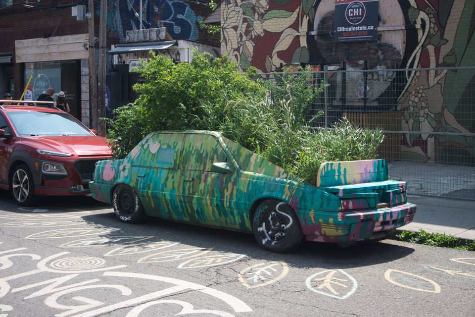 A brightly painted vintage sedan filled with growing green plants and bushes on a city street.