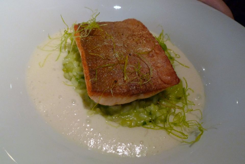 Plated pan-seared salmon fillet on top of green risotto in a shallow white bowl
