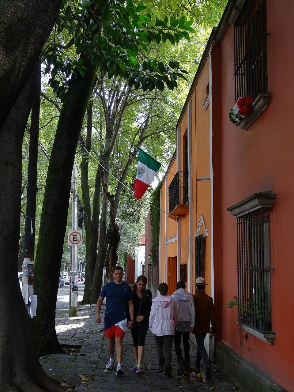 People walking a shaded street of painted houses in Coyoacan