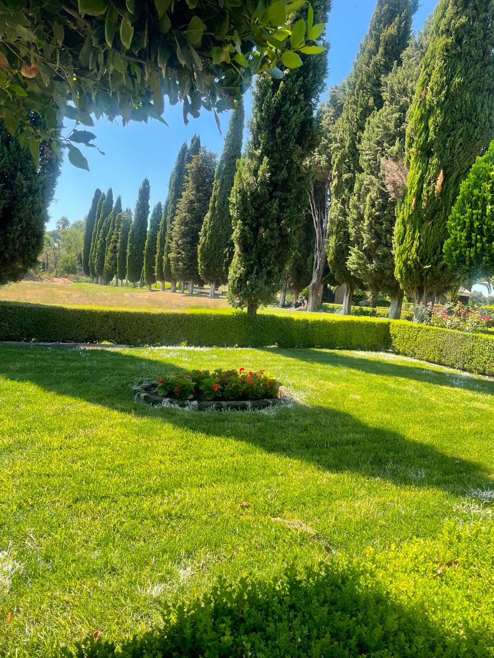manicured park garden
