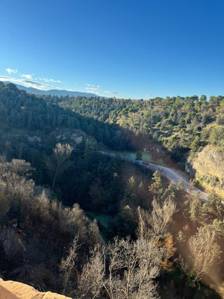 High-angle view of a wooded valley and winding road framed by evergreen trees and clear sky.