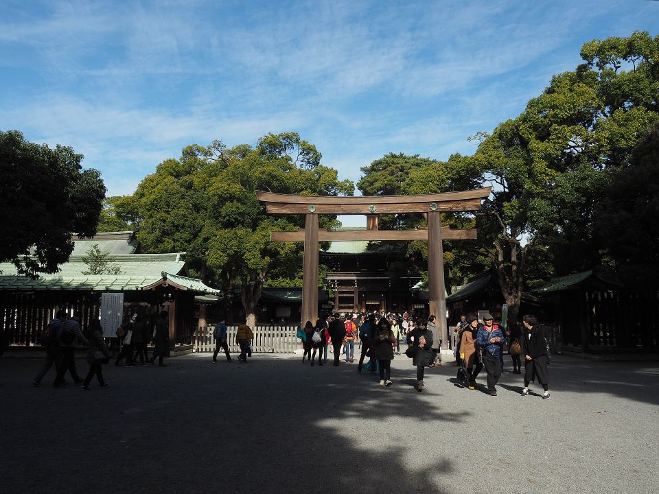 Visitors walk through a wooden torii gate into the forested courtyard of Meiji Jingu Shrine.